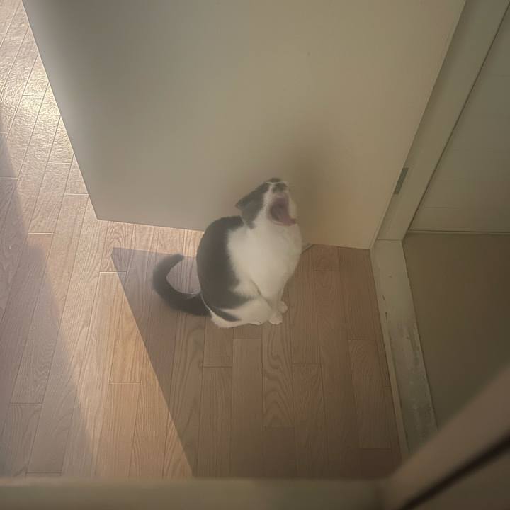 Aff1e133 bc7f 467b b915 d94770af2f6f 1746766535904