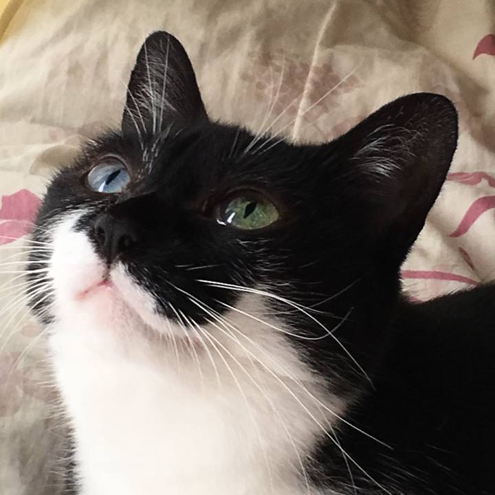 Aff20a67 0fbe 4bc1 b1d0 d487ac52d561 1570282775121