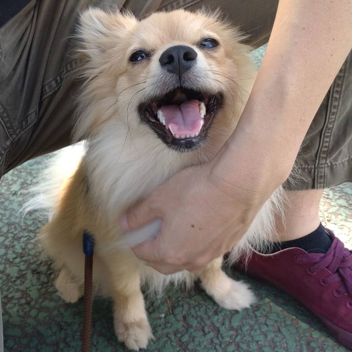 Aff2193c b615 4258 b086 00f41bf4143f 1745739524591