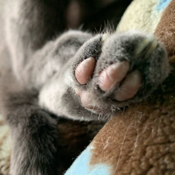 Aff227e8 4b9f 43b7 9d2a 9f0d11283223 1582963801106