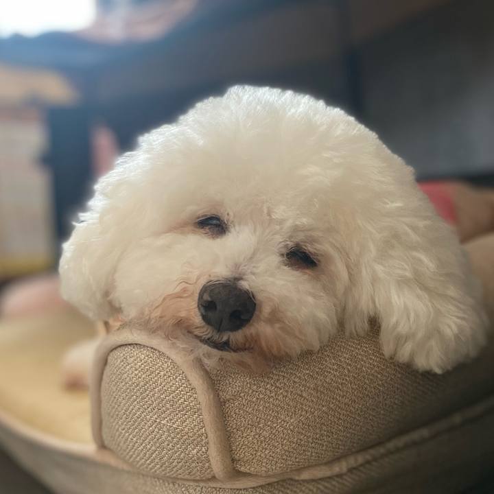 Aff2284b 6087 4037 98ec cdba4cd1b574 1714631288150