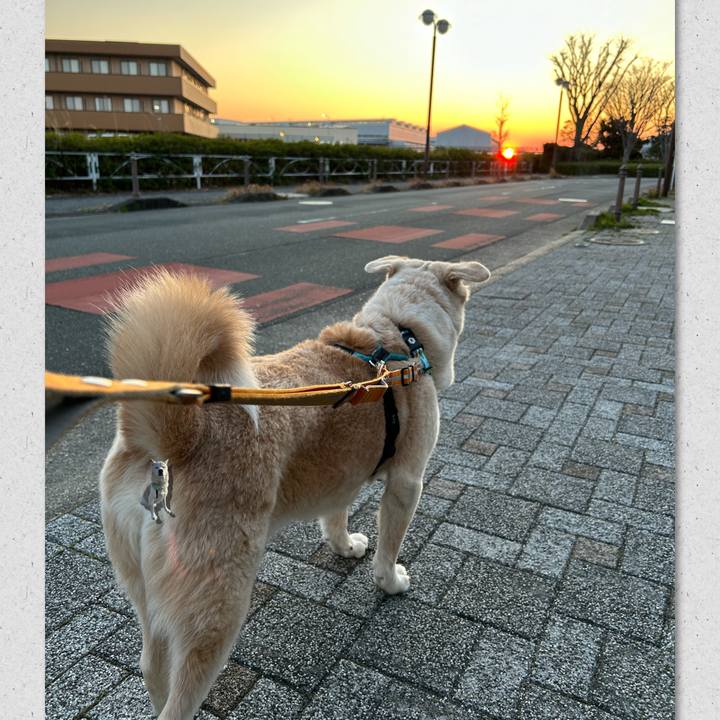 Aff252ff f310 4314 9b84 d343ec38d78b 1742483994684