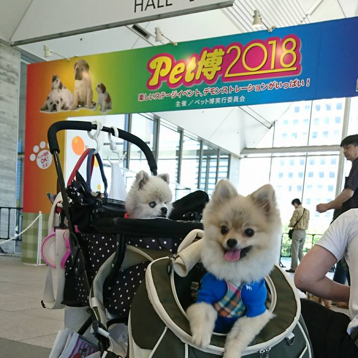 Aff25da8 075e 4173 a79c 945f6ee8ed5c 1525506288134