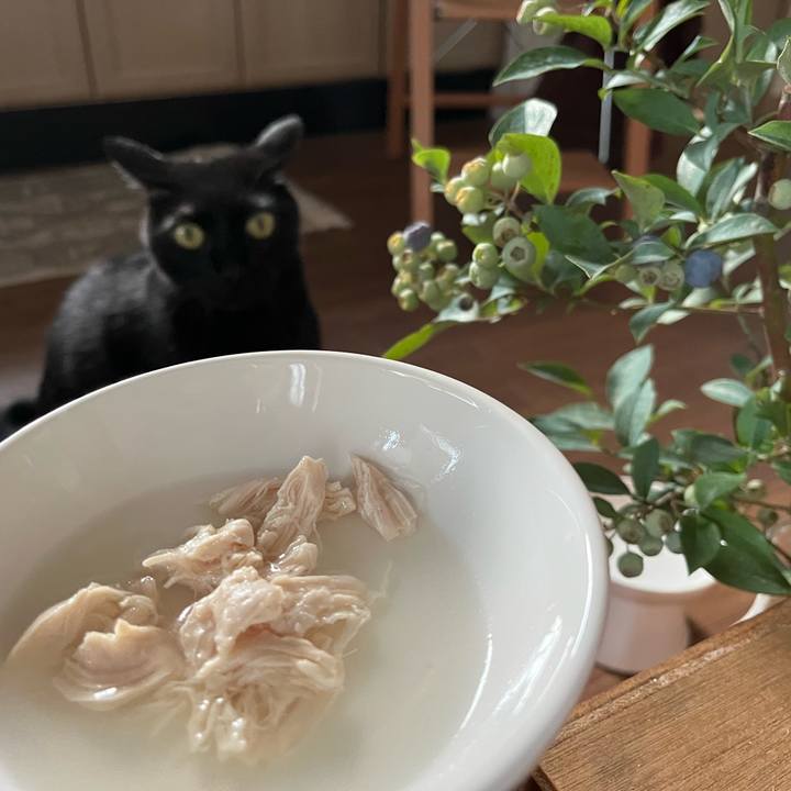 Aff260ba 41a7 4d1c 9f1e a84e79fcd77b 1688691603557