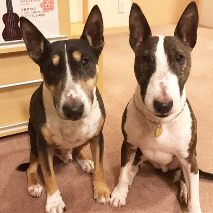 Aff272a1 1a4a 4078 ad31 fdab57fd4dc2 1509102383936