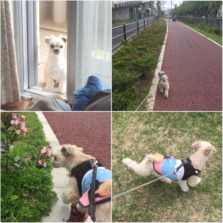 Aff279eb 167d 4bfe 869e e44787aecb2e 1557121416183