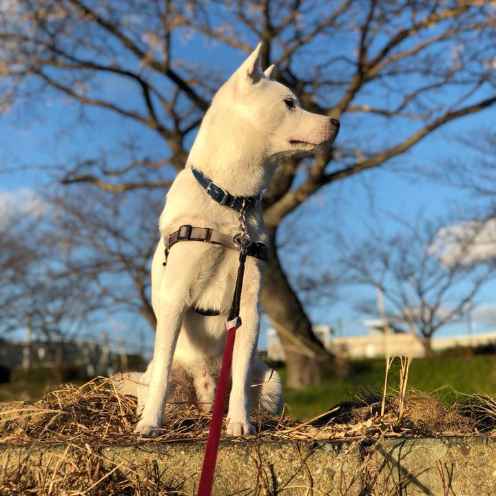 Aff2cad2 f2da 4184 a8aa d6e99bf3c690 1546068062827