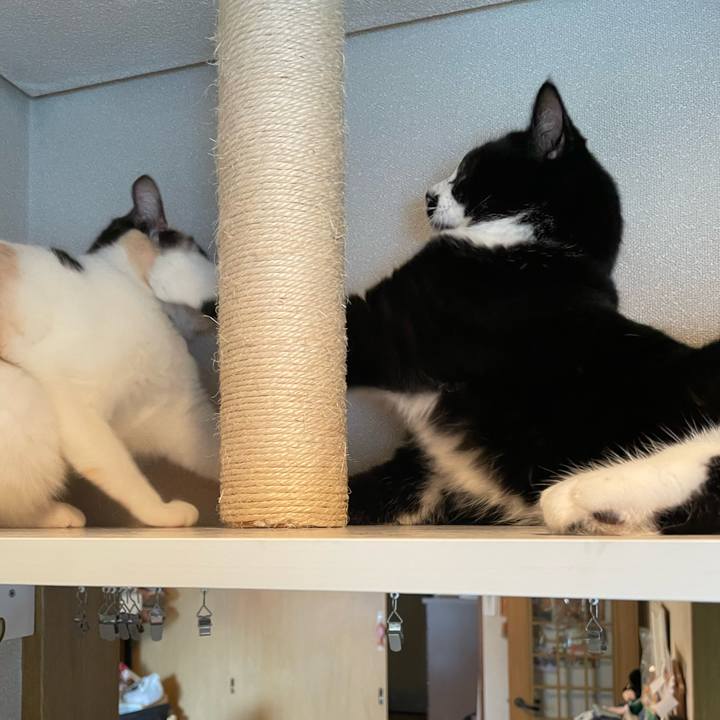 Aff2cf53 9e84 4da6 9752 9054713a391f 1694386611159