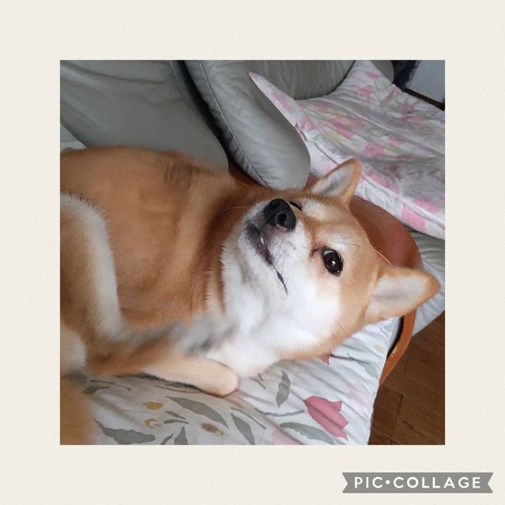 Aff2e3c5 01cf 46a1 bd63 01043d2a06fb 1725086080918