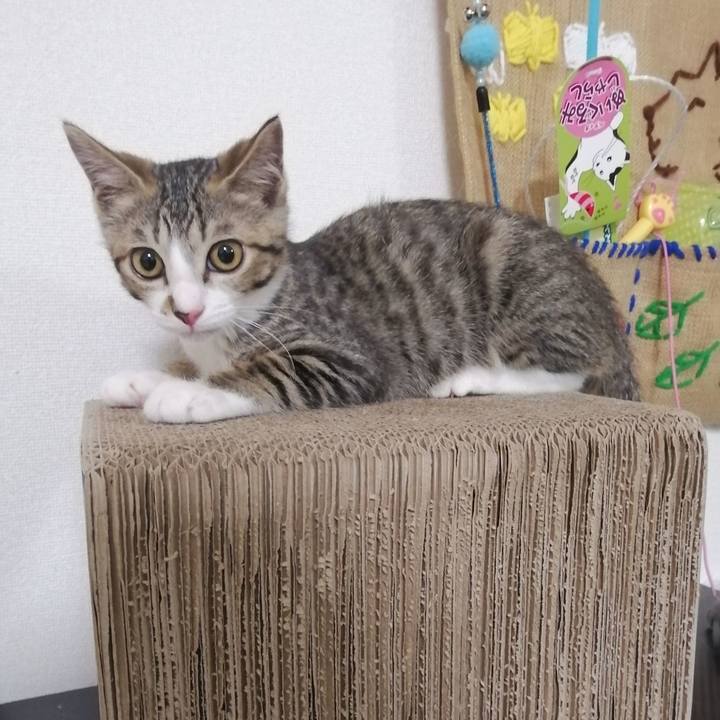 Aff2e94d 2bda 450b 96c3 e425b5a1286b 1660386147024