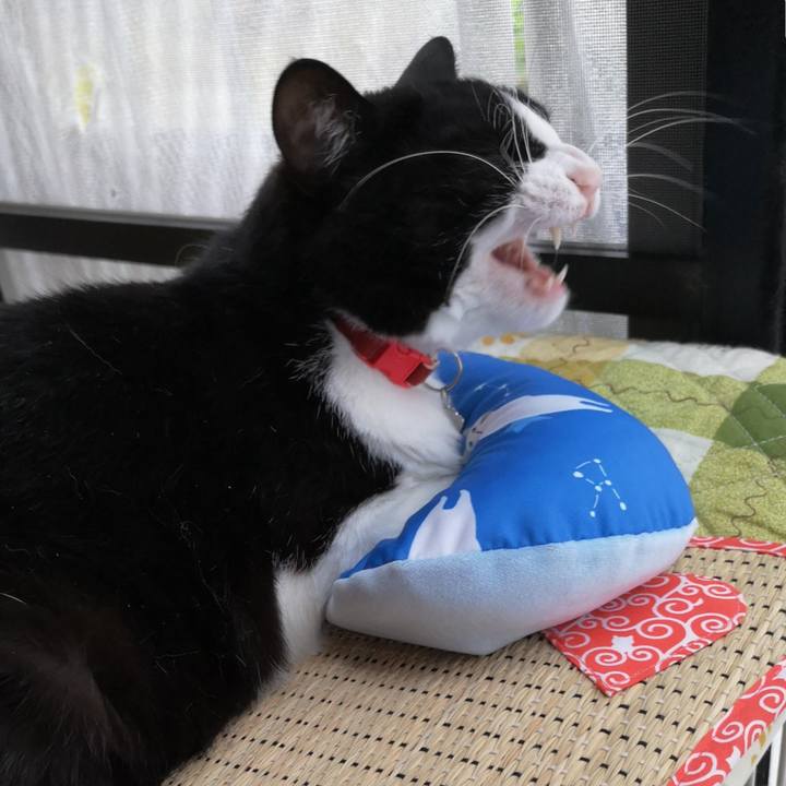 Aff2fc7f 3352 47ee aad3 18bbd1a38aec 1622778746559