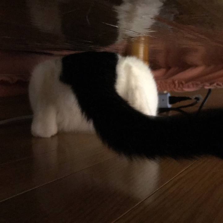 Aff3216a 7aa1 4395 a949 d82acba0089c 1527700045930