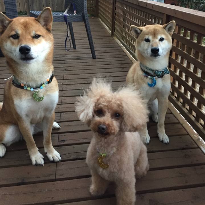 Aff33013 e441 461c 8832 e77b374a5b67 1507805206978