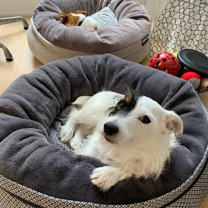 Aff361ba d356 4df5 ad5d 60e543c4edb1 1601508642848