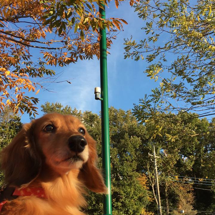 Aff377c1 fd6c 4bbb 8487 6dfea4034b04 1574497242871