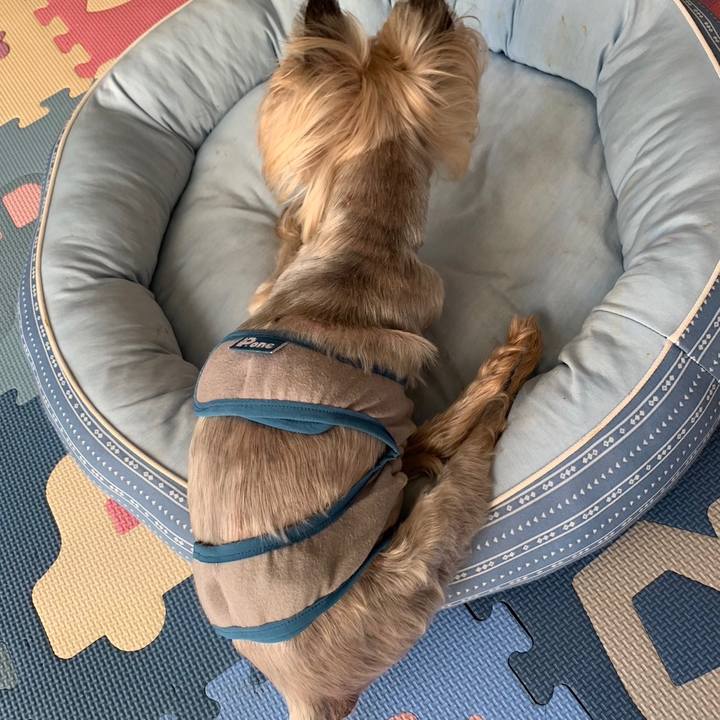 Aff3a34c ab2e 4819 b685 201cf0129e65 1693301198436