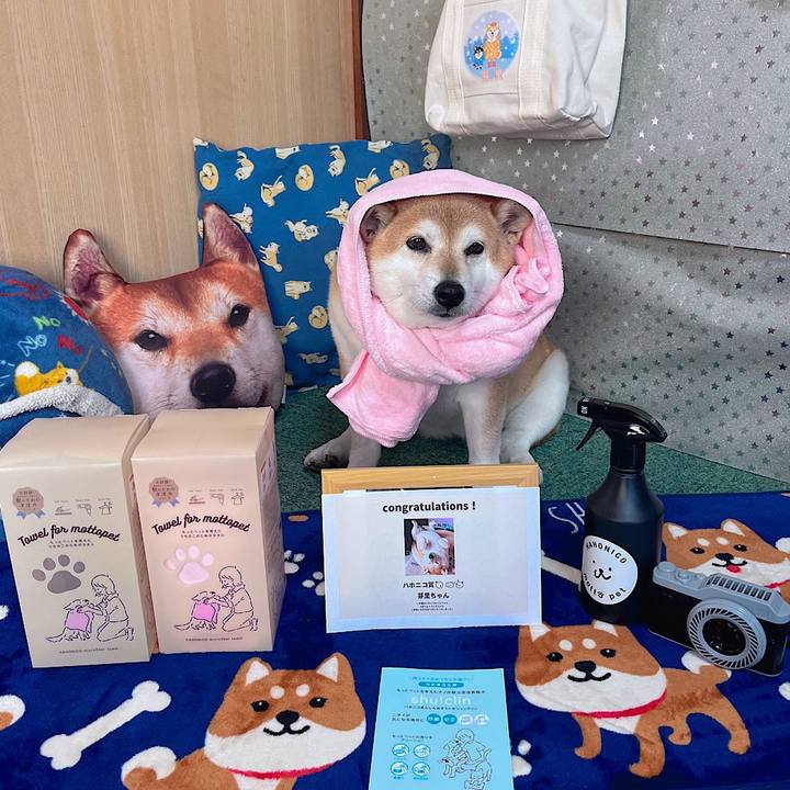 Aff3faab 2f48 4363 a334 3f3d81dc3499 1684984821990