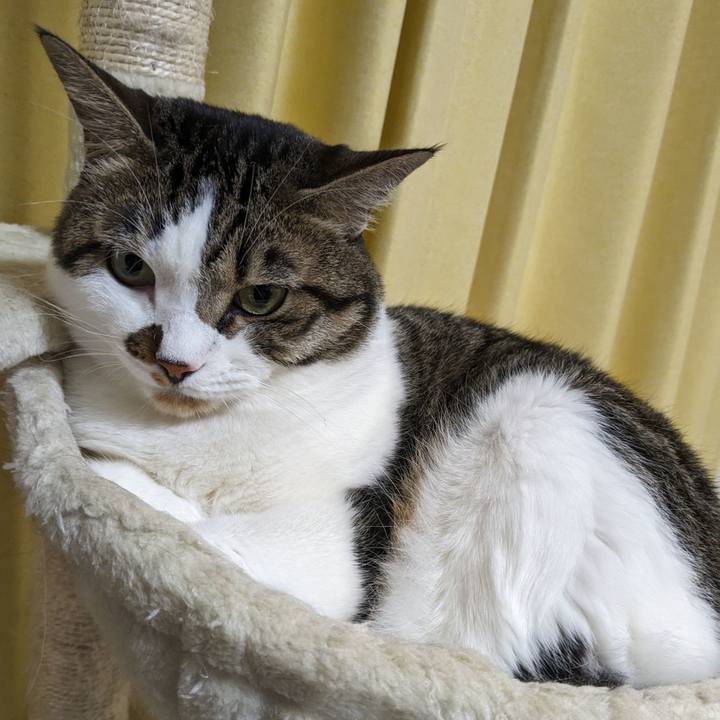 Aff40169 d6ec 4082 9f19 48a1d48d4b41 1691307032134