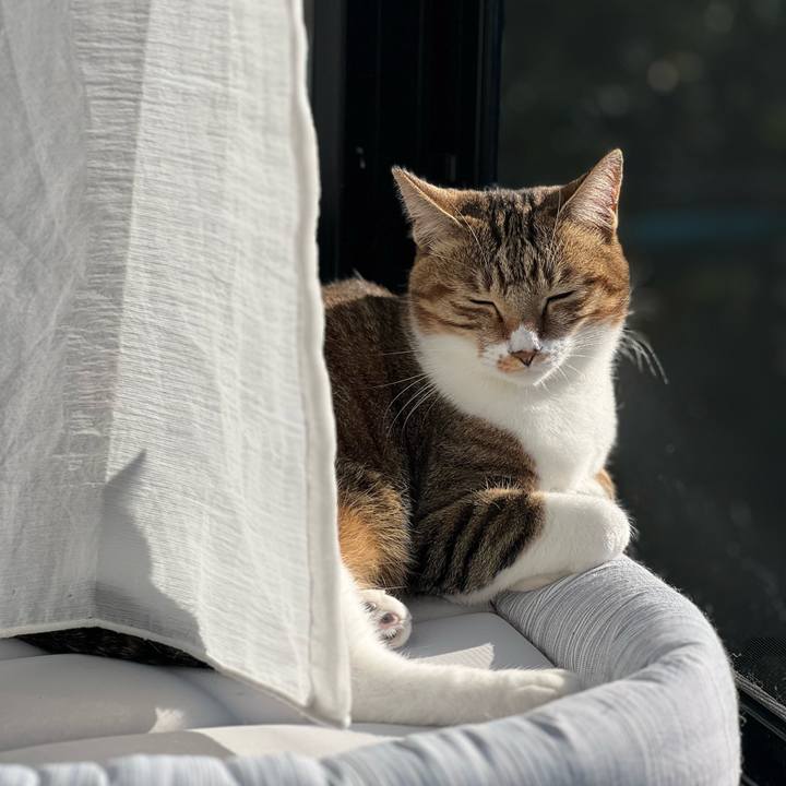 Aff40c8f 76a9 480a 94c4 5e3d57e8720f 1763132537702