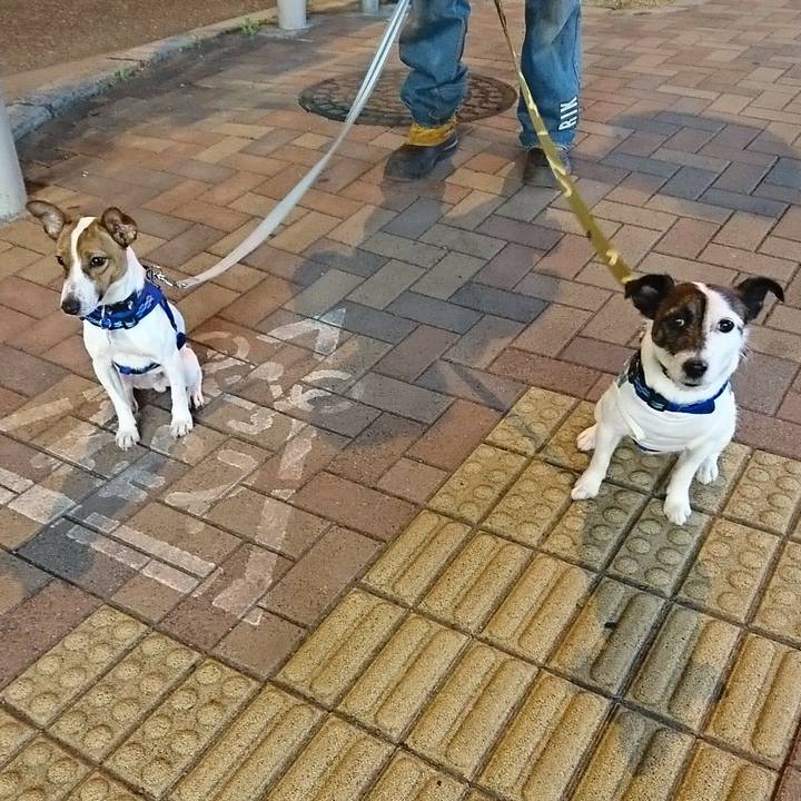 Aff42689 4fa1 41c9 a369 dccbb3a9636d 1524565716397