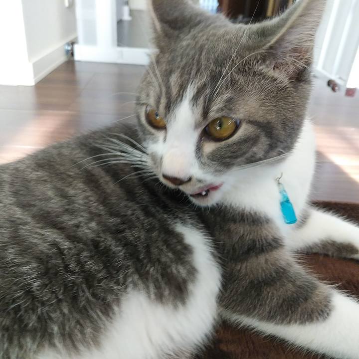 Aff429ff a3e4 42c9 b32d d7543150abc9 1578630000862