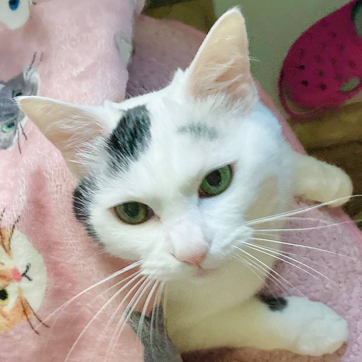 Aff43518 7fad 48c1 b58c d61876ccd899 1649487930579