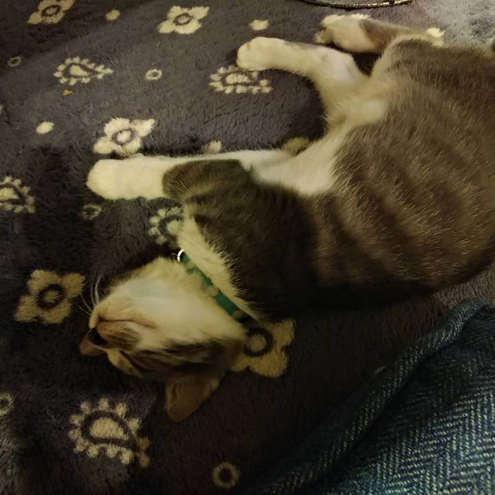 Aff43b28 8703 4277 81e0 45665bcc508a 1564501157006