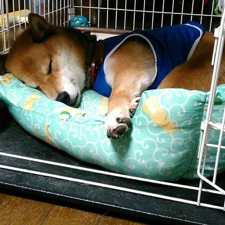 Aff44719 886f 4933 bb0a 7a8c0cbc509f 1529411439703