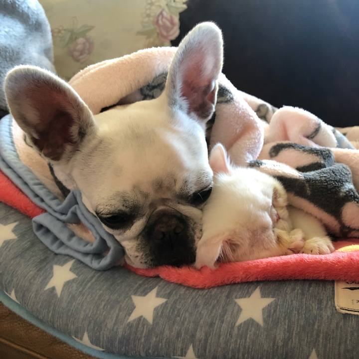 Aff4bba3 c2bf 4609 898b 07e6d348e6a5 1546328590797