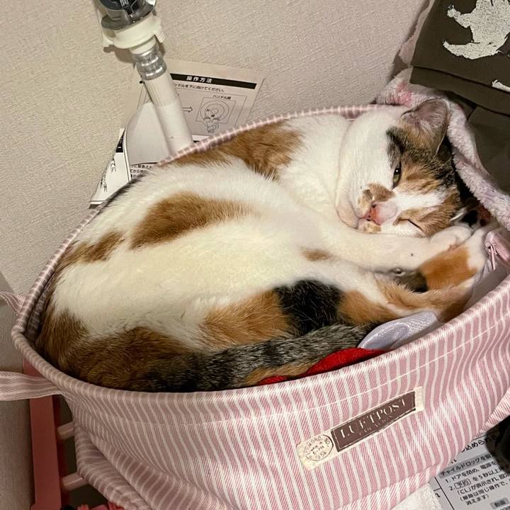 Aff4d34d 0017 4f84 a01b 5be1d8c88494 1644758560339