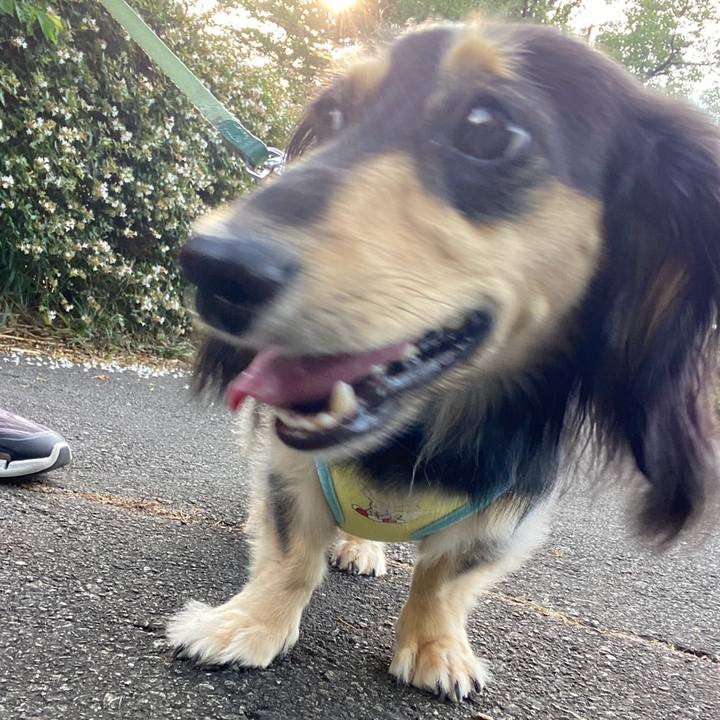 Aff534c8 801c 42e3 b84b 563e780d5eb2 1754265087951