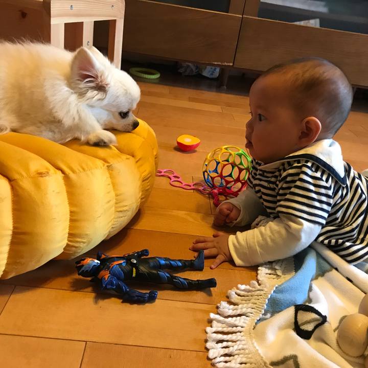 Aff55b7b a297 4f3c ac8e f1c1df83dcfb 1525774428123