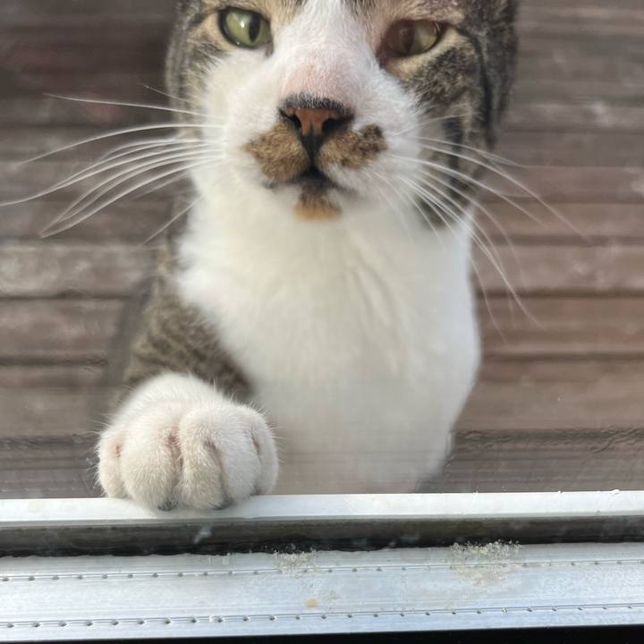 Aff5846b 4bc6 4d2e bc26 09a7744b52f8 1657661621650