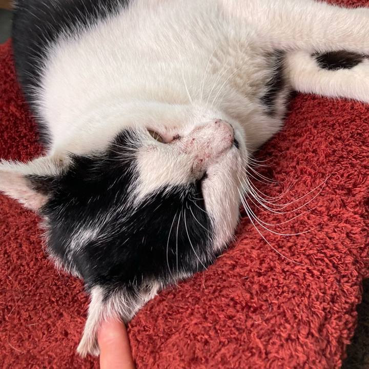 Aff588d0 7b5e 46ee 9b8b 58cc1714e86b 1760275427311