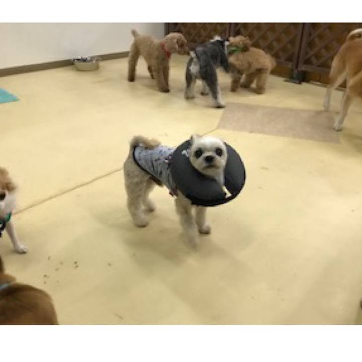 Aff58dea e6b5 4823 be25 a3db58778976 1573732086067