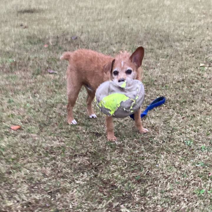 Aff5937b 7b64 4787 94a6 29b60a886f2e 1670231173017