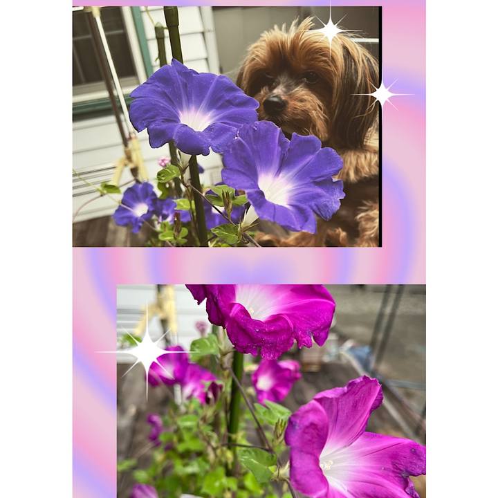 Aff5959a 893b 43e2 b32d c68fe828791c 1661154850708