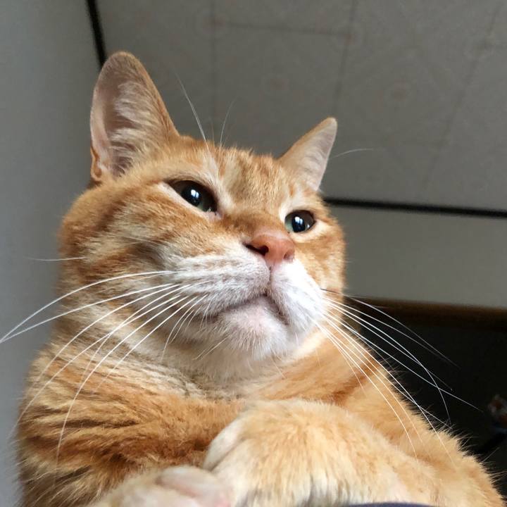 Aff59f78 4d92 44c4 8c86 39a1e128ea0d 1721419808435