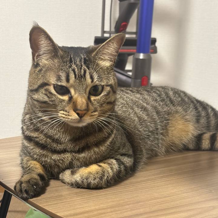 Aff59ff1 9aee 4051 b3e6 3d15a9bd55c3 1761183384552