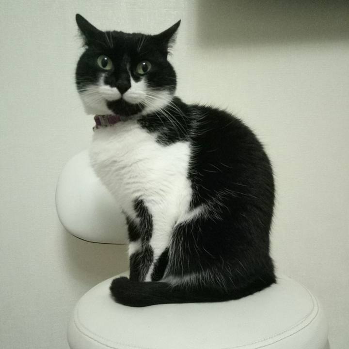 Aff5a88b 8248 477b 9bdc 55610242b1db 1515424652896