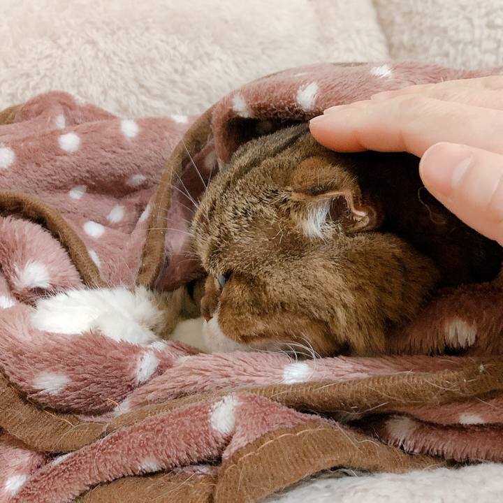 Aff5b642 ab3d 487c 8402 fd3ac4672029 1579557644961