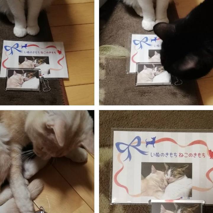 Aff5b6ba c1fd 4e0c ac08 e63727f3386a 1641613768421