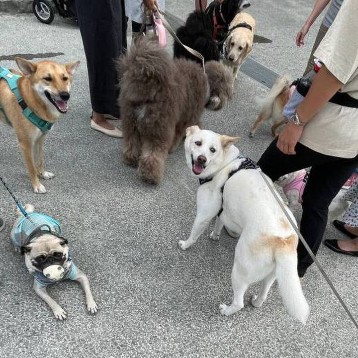 Aff5b9d4 8023 49f7 8160 01352c06e659 1689808641717