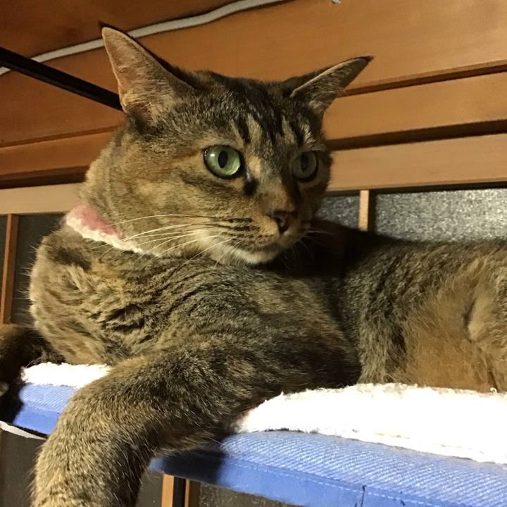 Aff5bbb2 785e 4335 b892 a84b0eb14a83 1690894109752