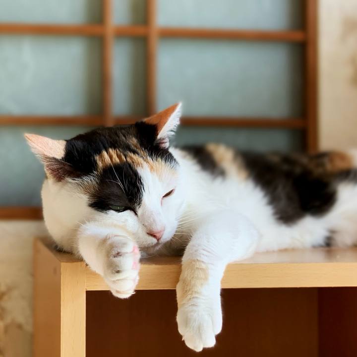 Aff5d0fa 517e 4181 8f00 ee997c174f05 1595730997849