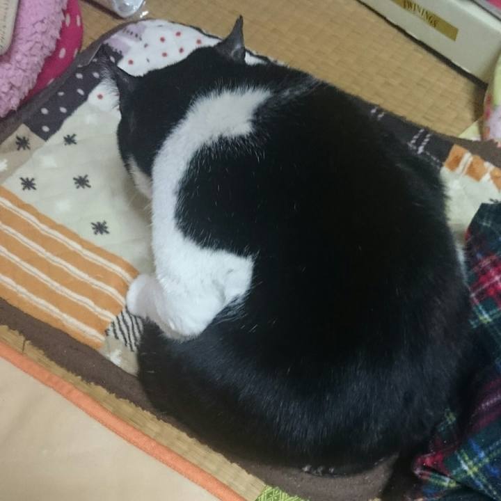 Aff63d2e 2226 485f b297 1c2997346594 1517788390314