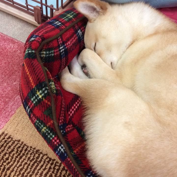 Aff661d1 f6de 4435 af42 029cb993dd52 1510795762434