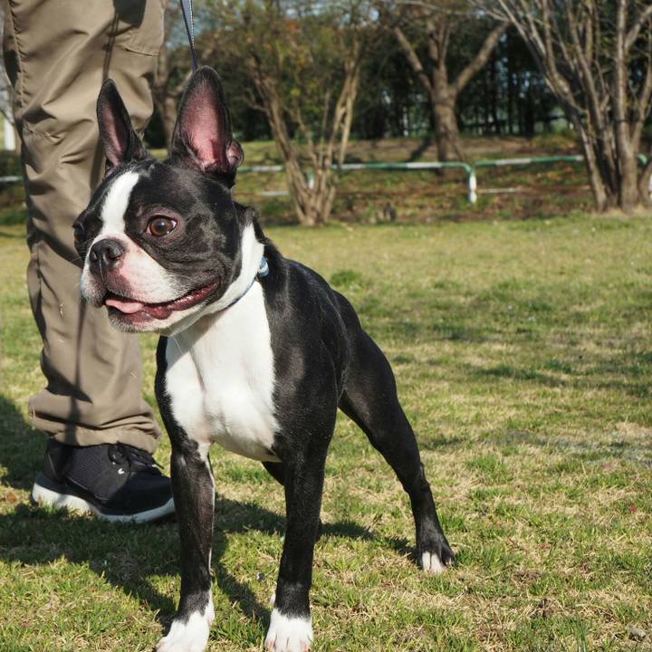 Aff6661a b6b1 496c accb 2e5cd1f8258c 1521272567529