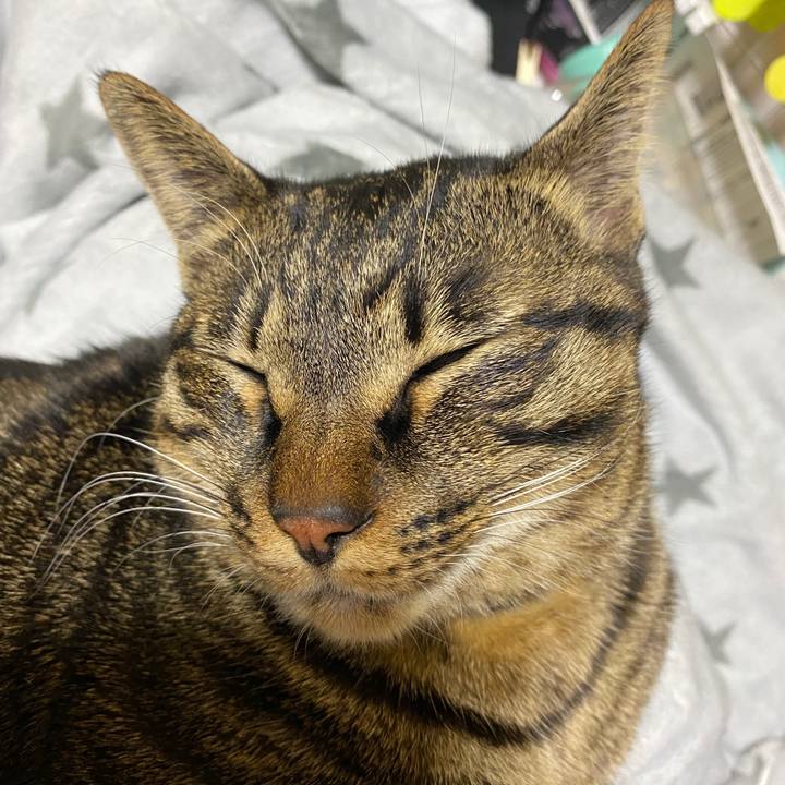 Aff6945c 59bc 4351 a0b6 2650edd6feb6 1578096998956