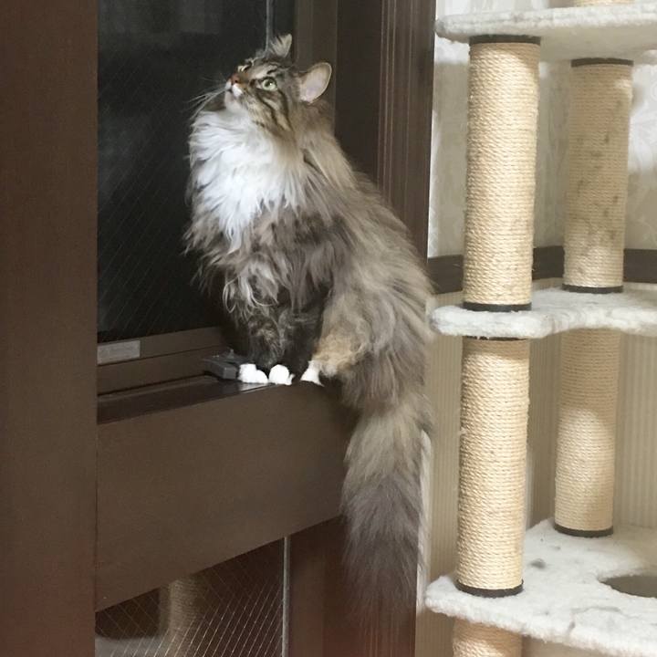 Aff6bfba 3f8e 4f0c b0b7 37ac114b08d0 1509632378084